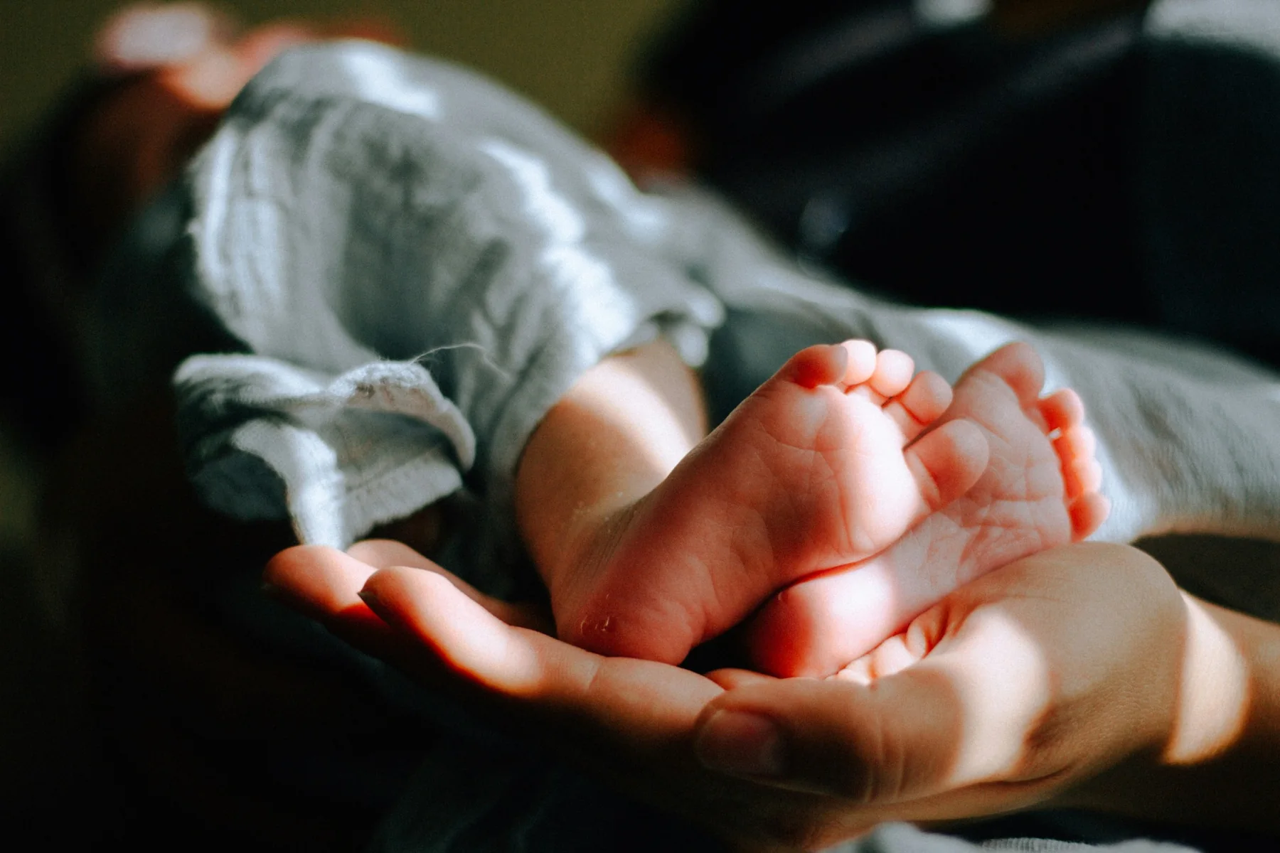 Newborn baby feet in hands